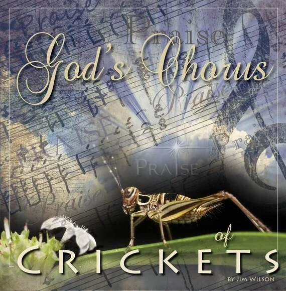 album cover van God's Chorus of Crickets